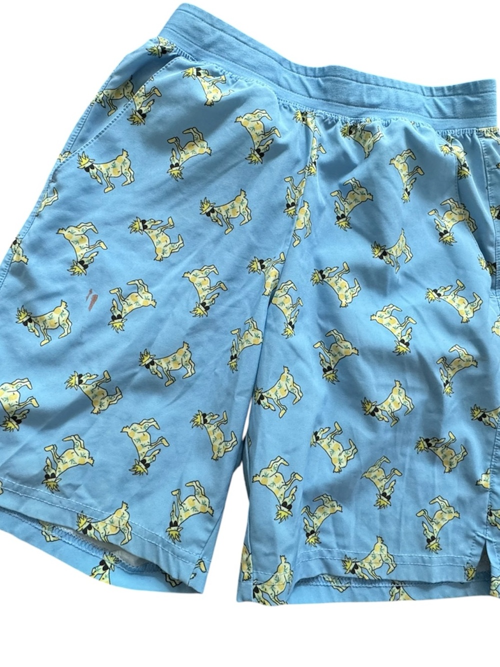Goat USA pineapple Print board Shorts